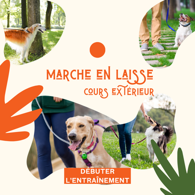 GROUPE DE MARCHE DIRIGÉE