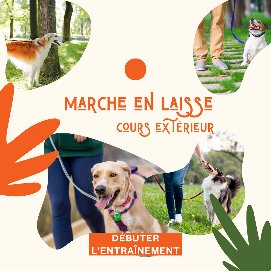 GROUPE DE MARCHE DIRIGÉE