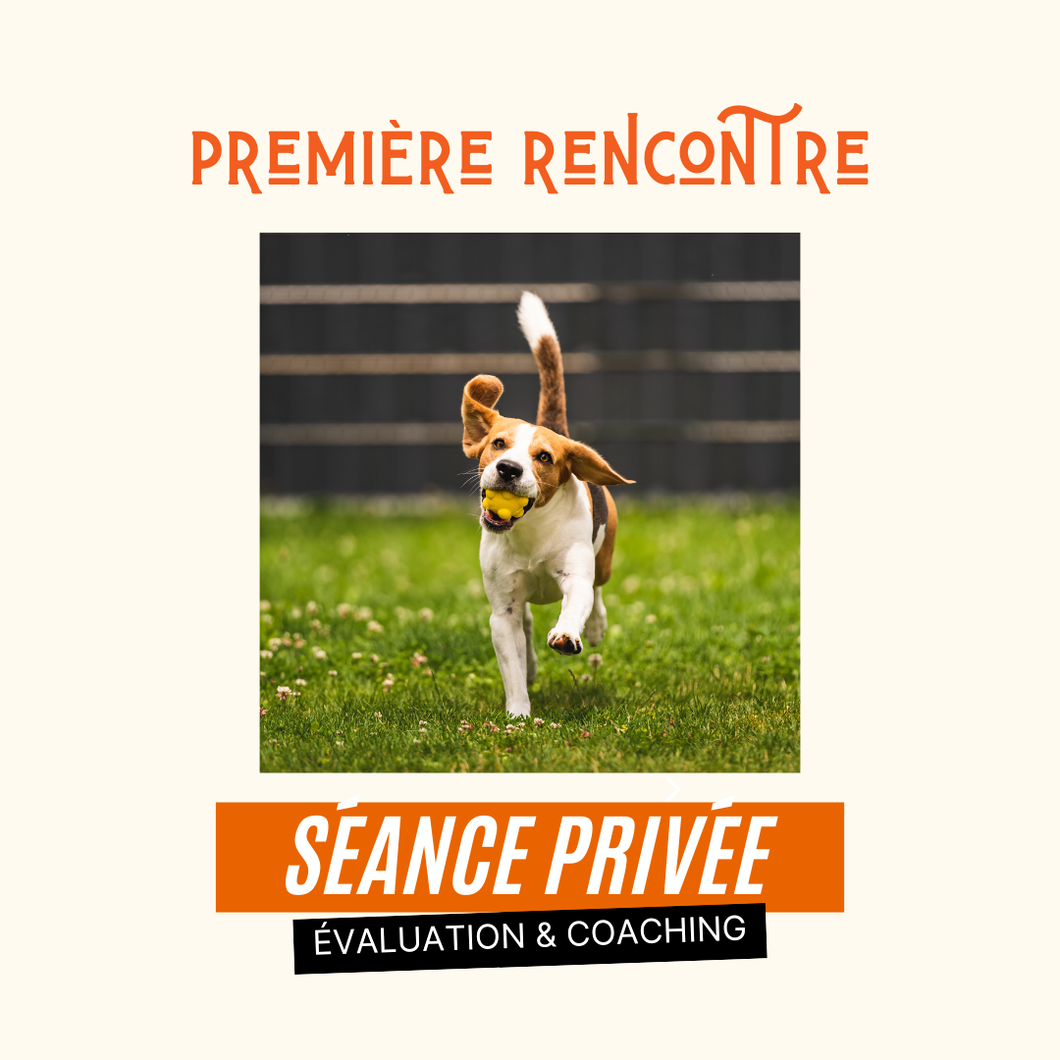 Rimouski ou sur le web - Formule première rencontre privée  :: 90 MIN