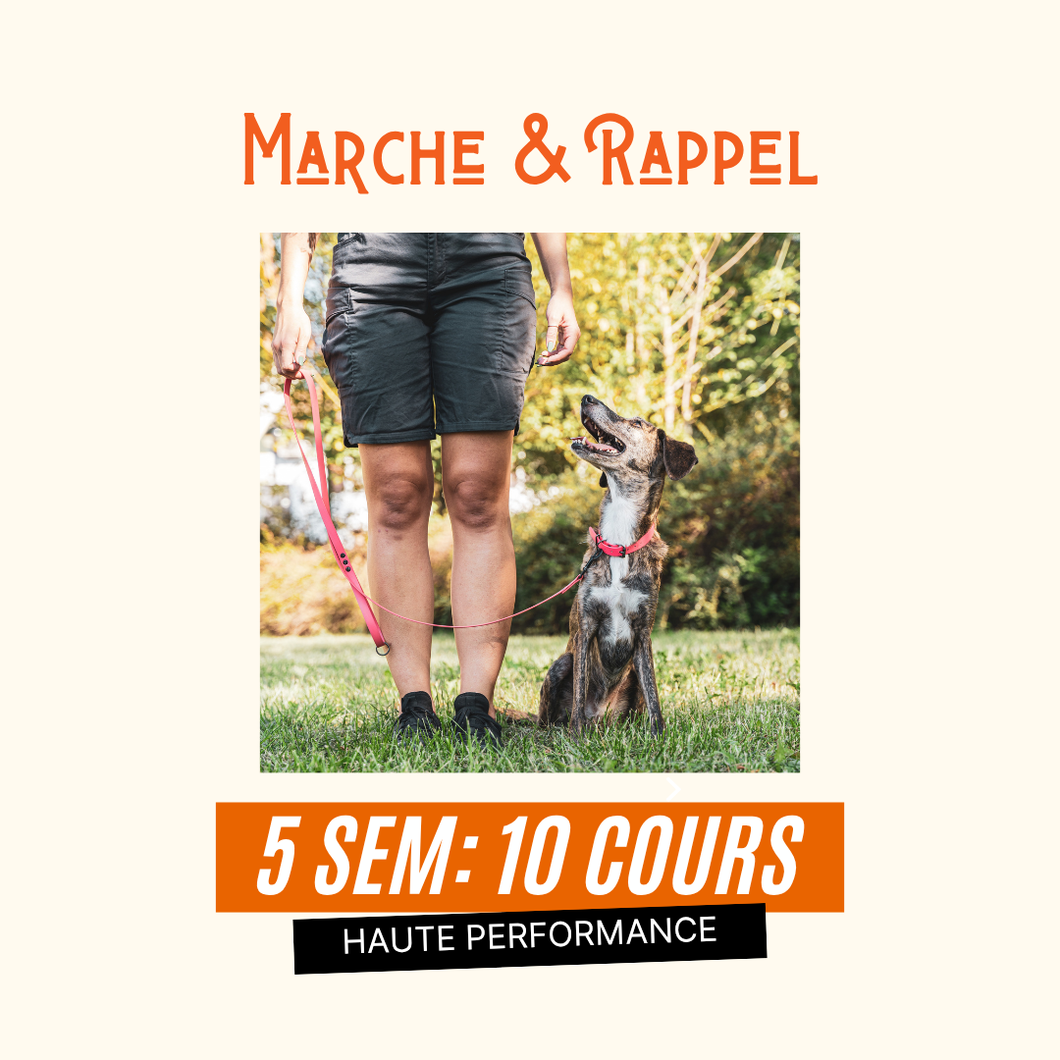 Marche & rappel