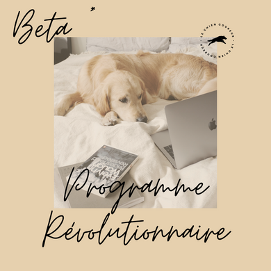 Programme Révolutionnaire - Formule beta