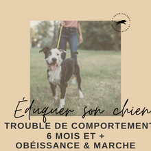 FORMULE DE COACHING POUR CHIENS