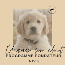 FORMULE DE COACHING POUR CHIOTS