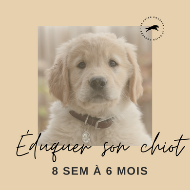 FORMULE DE COACHING POUR CHIOTS