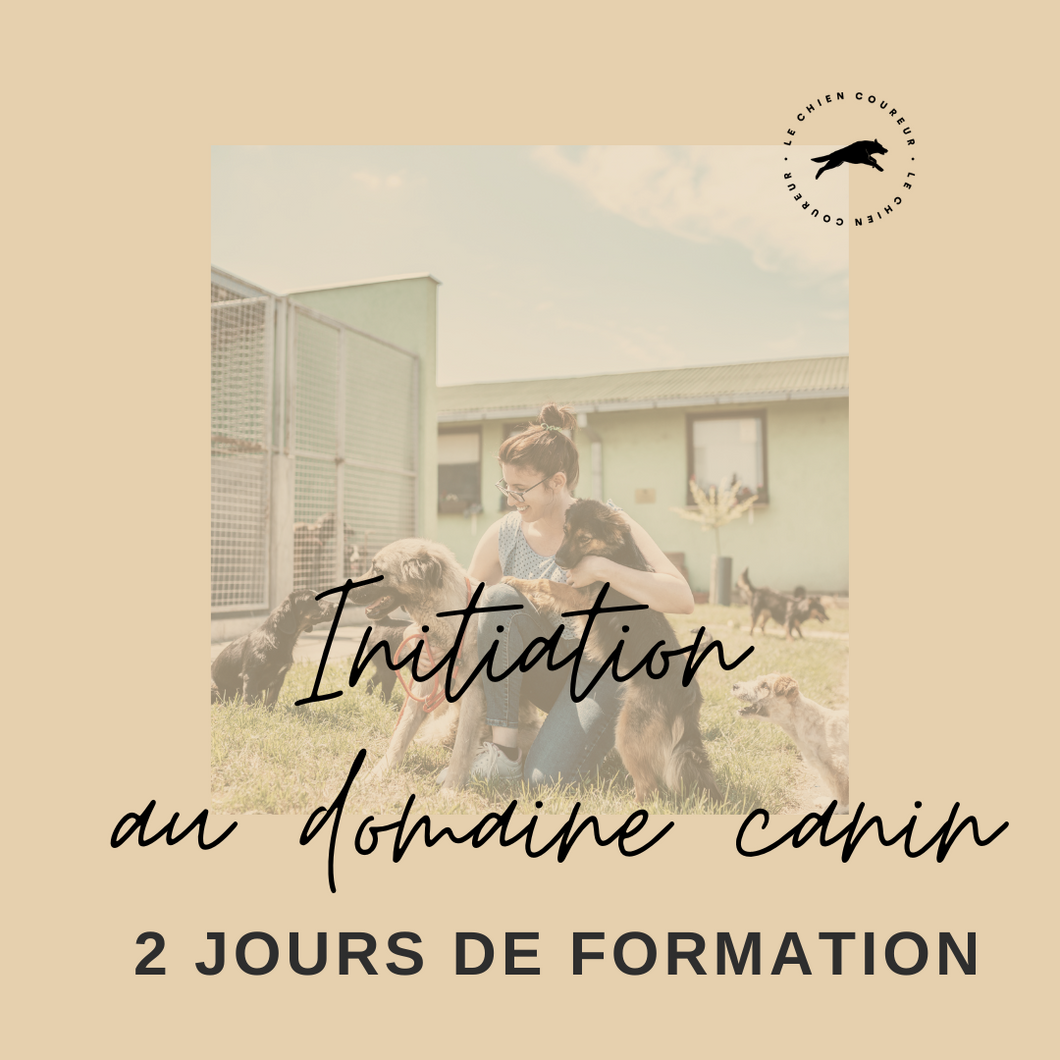 Formation DOGEEK -  Immersion animalière :: Garde et soins